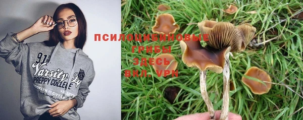 Альфа ПВП Алзамай