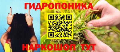 мдма Славгород