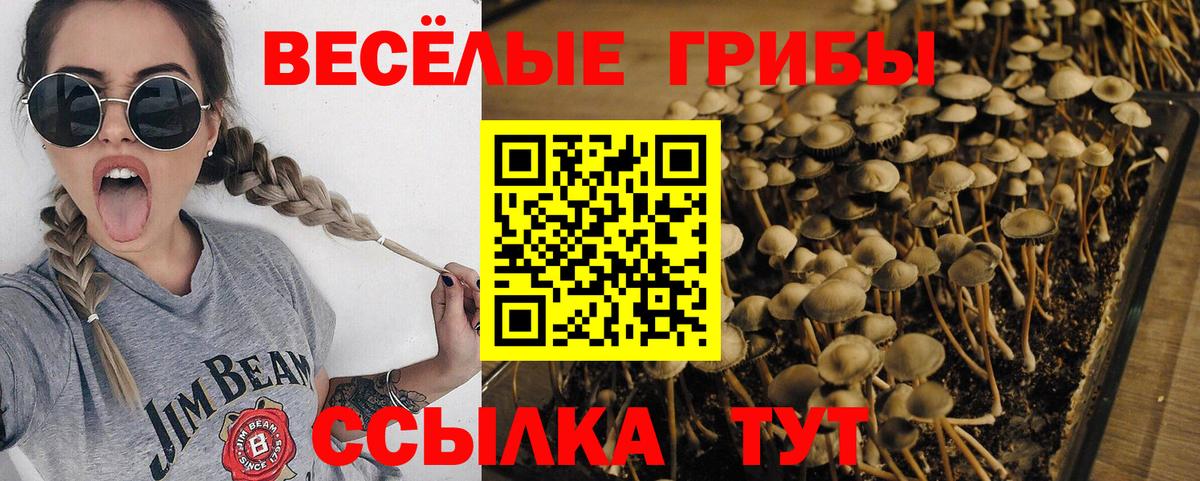 Псилоцибиновые грибы прущие грибы  Вход с VPN  где можно купить   Ступино 