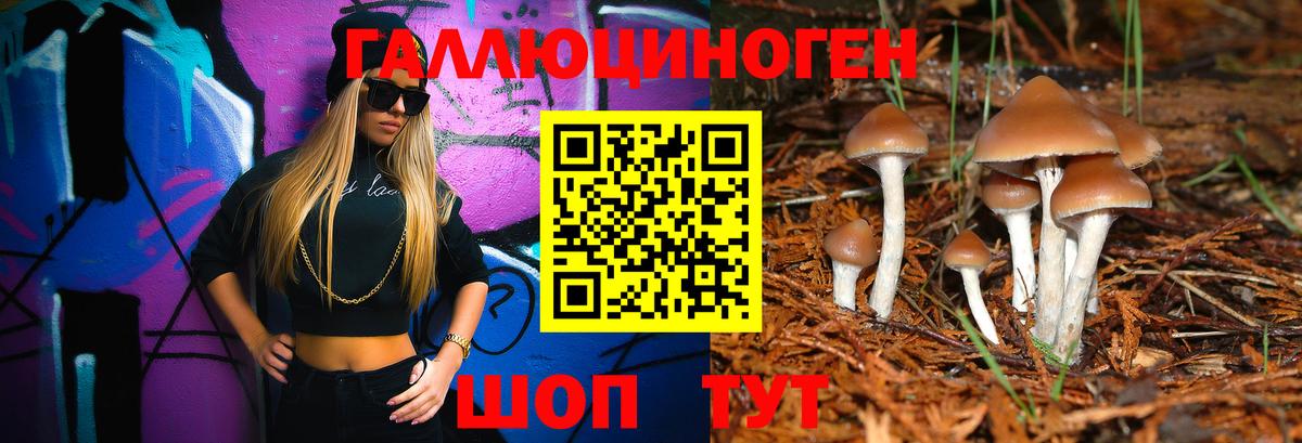 Псилоцибиновые грибы прущие грибы Ступино