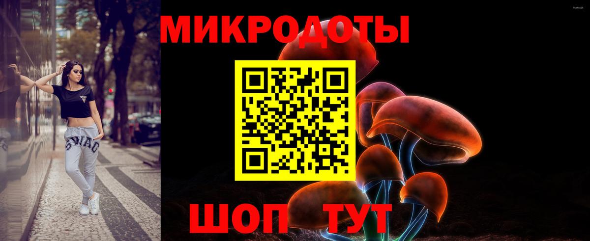 МЕФ Ступино