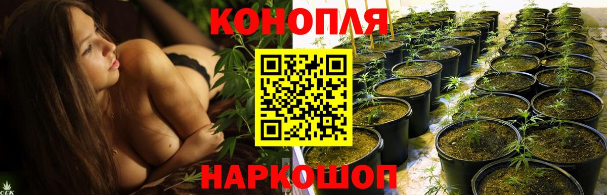 Шишки марихуана план Ступино